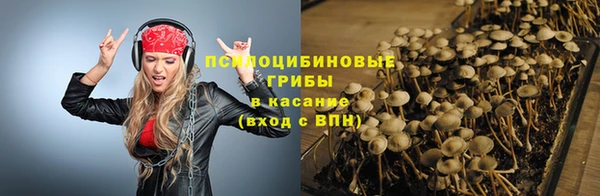 дмт Беломорск