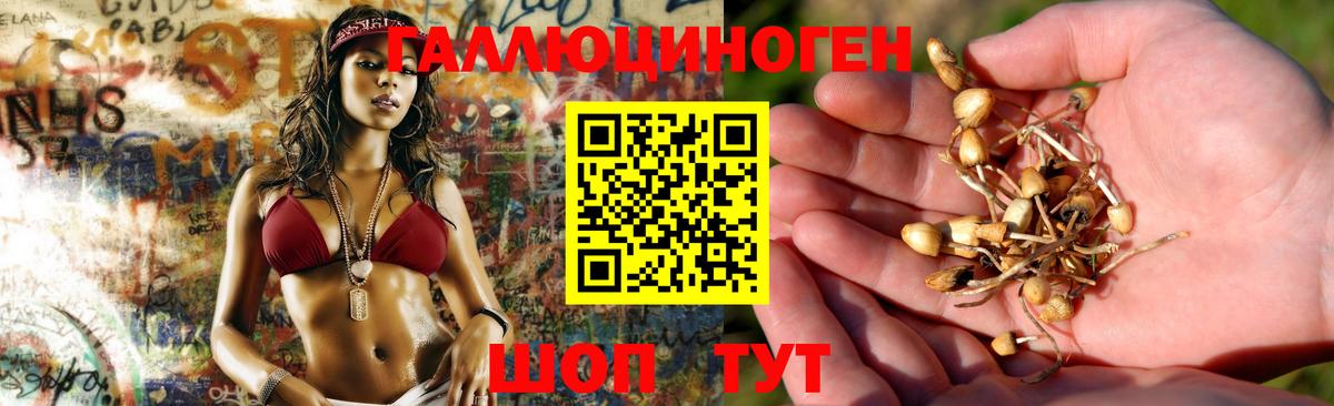 Псилоцибиновые грибы прущие грибы Вязники
