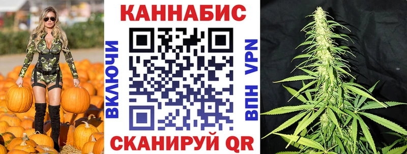 купить   Вязники  Шишки марихуана сатива 
